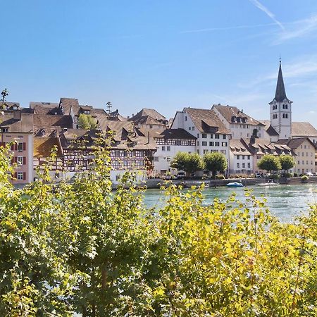 Am Hochrhein Desko Apartment ไกลิงเงน ภายนอก รูปภาพ
