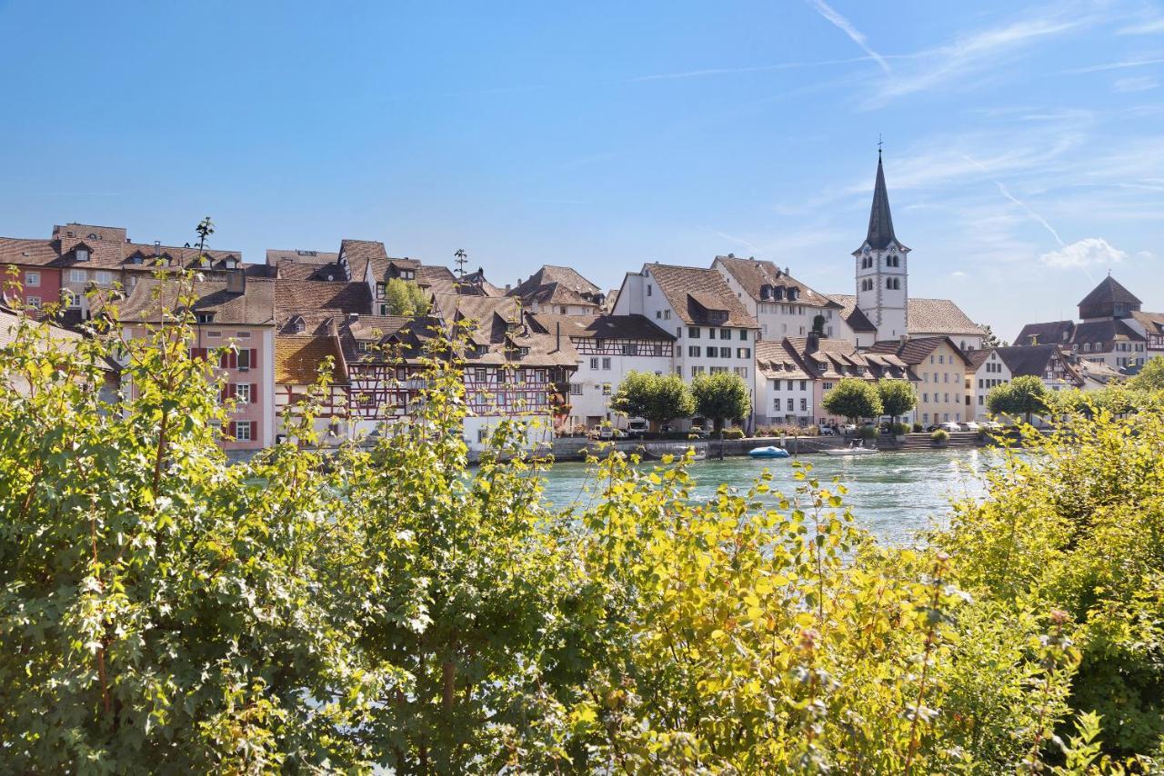 Am Hochrhein Desko Apartment ไกลิงเงน ภายนอก รูปภาพ