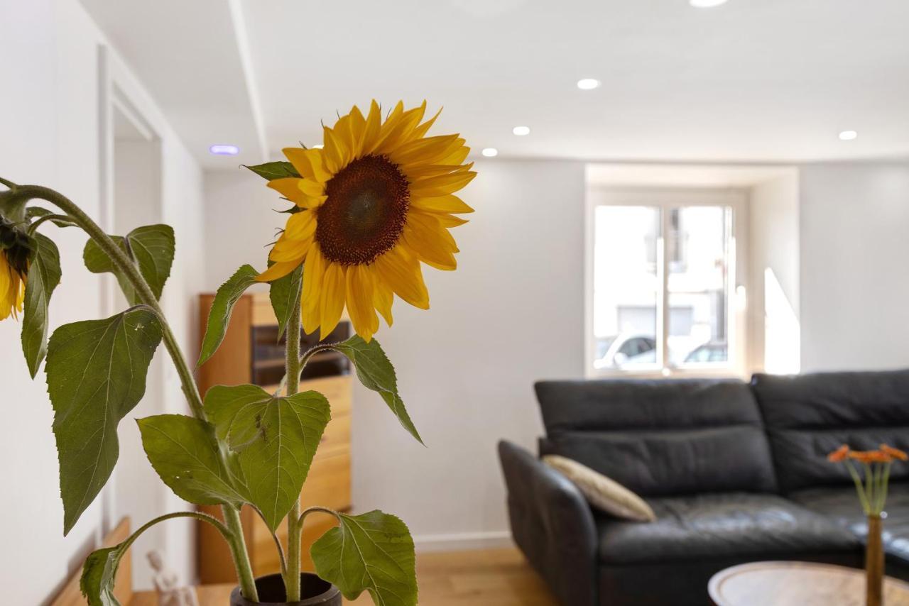 Am Hochrhein Desko Apartment ไกลิงเงน ภายนอก รูปภาพ